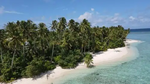 Alimas Holiday Retreat Maldives - 30