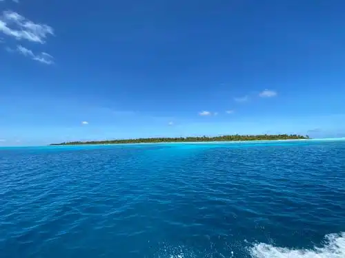 Alimas Holiday Retreat Maldives - 36