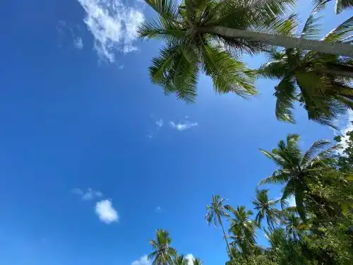 Alimas Holiday Retreat Maldives - 33