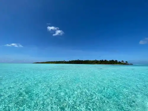 Alimas Holiday Retreat Maldives - 32