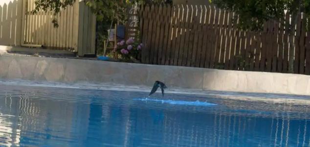 Olive Grove Suites Boutique - 12