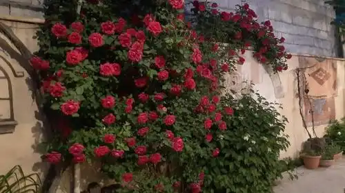 Monument Guesthouse - 22