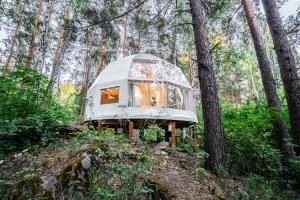 Glemping-park  Babochka, Chebarkul'