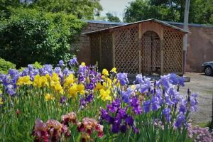 Detskaya Turistskaya Baza Mini-hotel, Simferopol