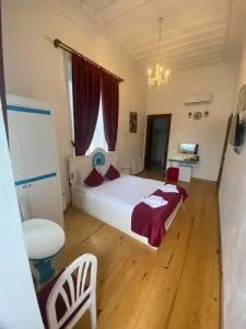 BUYUKADA MAVI Palas - 87