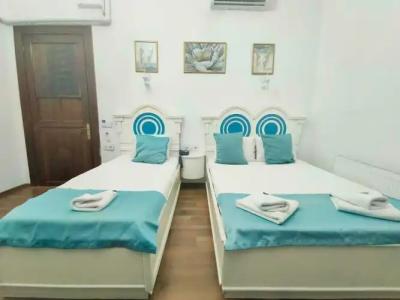 BUYUKADA MAVI Palas - 59