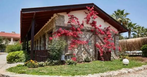 Flow Datca Surf & Beach - 98