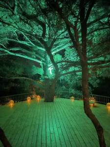 Gödence Restoran - 31