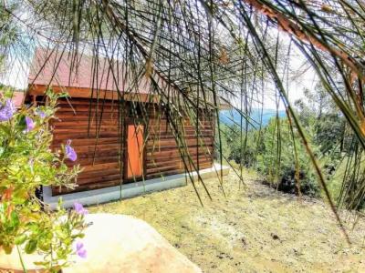 Gödence Restoran - 63