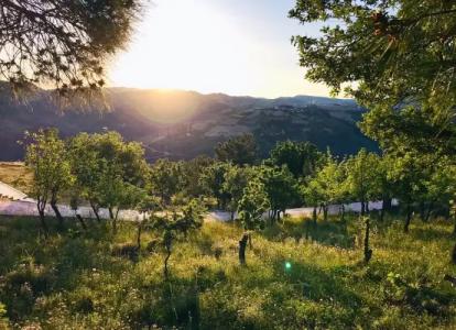 Gödence Restoran - 29