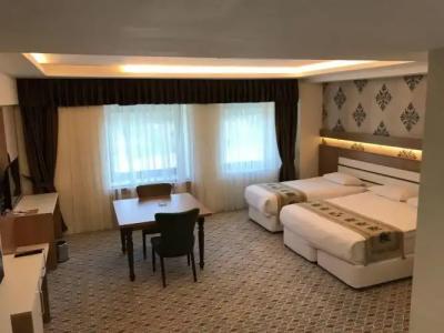 Grand Alin Tokat - 1