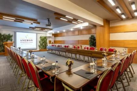 Anemon Kent Diyarbakır Otel - 13