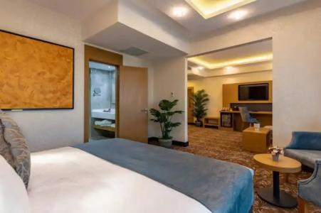 Anemon Kent Diyarbakır Otel - 6