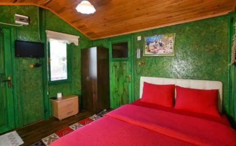 Jippe İda Dağ Evleri - 13