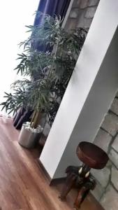 Cunda Exodus Otel - 29