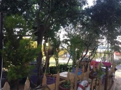 Cunda Exodus Otel - 16