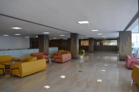 Lavanta Tepesi - 0