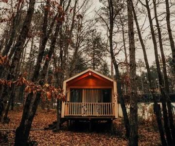 Longosphere Glamping - 23