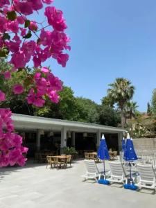 Oylum Garden - 12