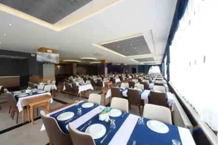 Golden Rose Deluxe - 12