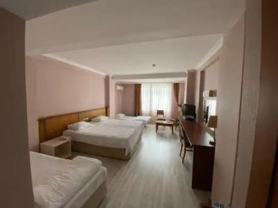 Green Mount & Spa - 9