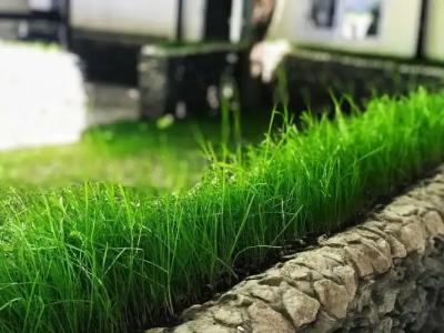 Park Hostel Osh - 14