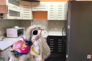 Center Hostel, Almaty