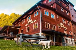 Altiparmak Hotel, Ayder
