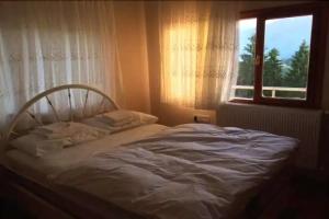 Sapart Hotel, Camlihemsin
