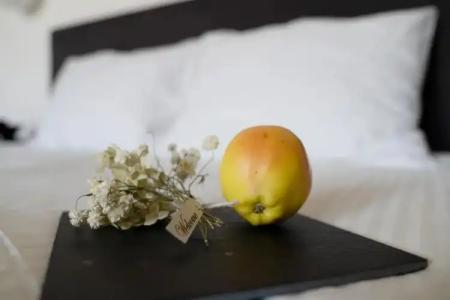 Concept by Coaf - 66