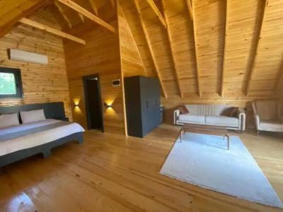 Pinhan Otel Kazdaglari - 3