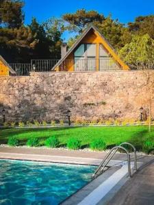 Pinhan Kazdaglari - 9