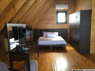 Pinhan Kazdaglari - 3