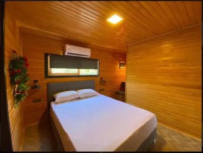 Collesium Garden - 1