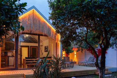 Collesium Garden - 27