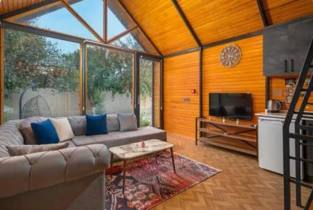 Collesium Garden - 19