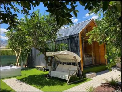 Collesium Garden - 14