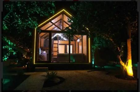 Collesium Garden - 20