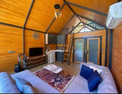 Collesium Garden - 2