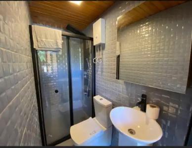 Collesium Garden - 5