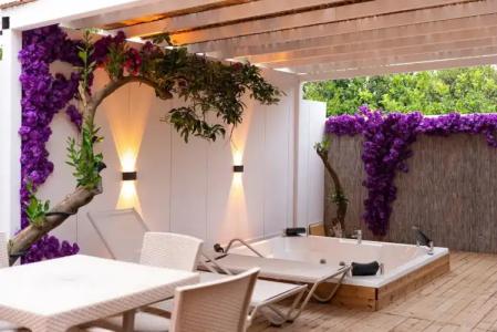 Collesium Garden - 24