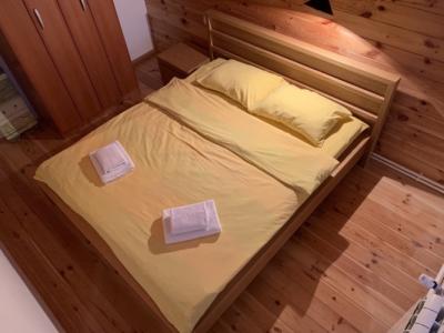 Nikola Mirkovic Guest house - 8