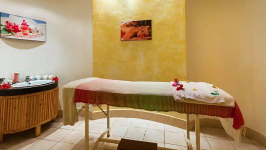 Le Petit Palais - 18