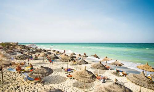 Le Petit Palais - 25