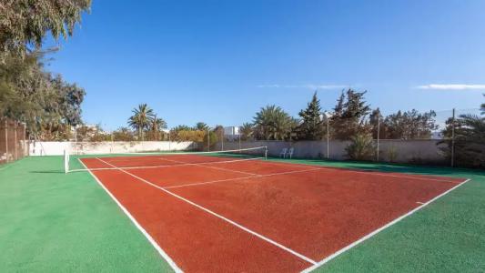 Le Petit Palais - 21