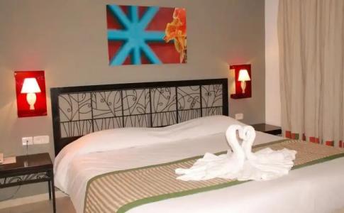 Le Petit Palais - 33