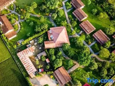 Baghmara Wildlife Resort - 26