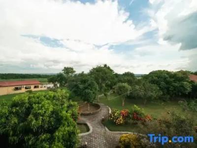 Baghmara Wildlife Resort - 43