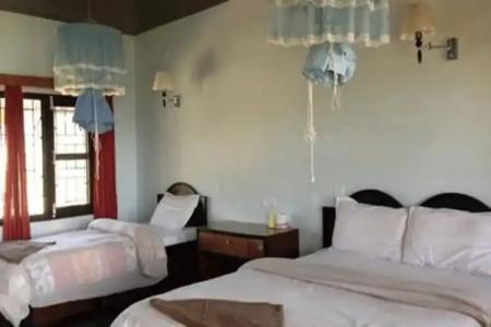 Baghmara Wildlife Resort - 29