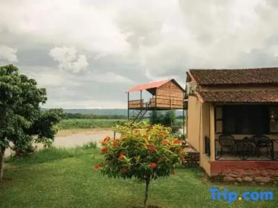 Baghmara Wildlife Resort - 39